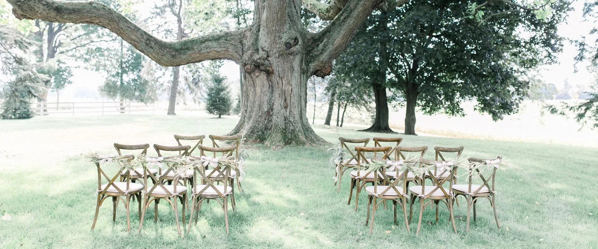The Ultimate Guide to Wedding Chair Rentals