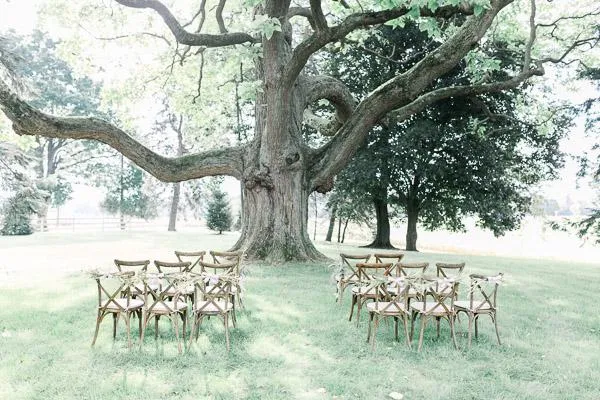 wedding chair rentals